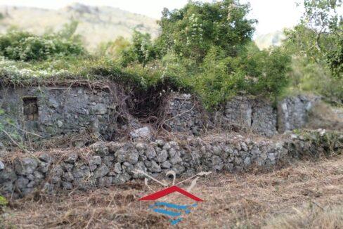 25_risultatoNuova cartella