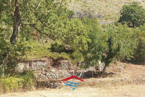 26_risultatoNuova cartella