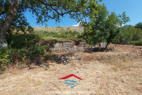 5_risultatoNuova cartella