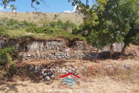 6_risultatoNuova cartella