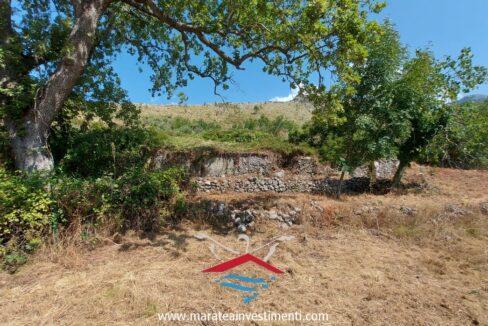 7b348aa1-8c8d-4ad3-b51d-8e2095b97764_risultatoNuova cartella