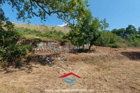 f51c81e5-1222-4c24-b25e-fdf9b0f1067a_risultatoNuova cartella