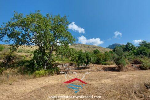 faaa0241-265b-47d9-b5a9-6ddbf21e7f3b_risultatoNuova cartella