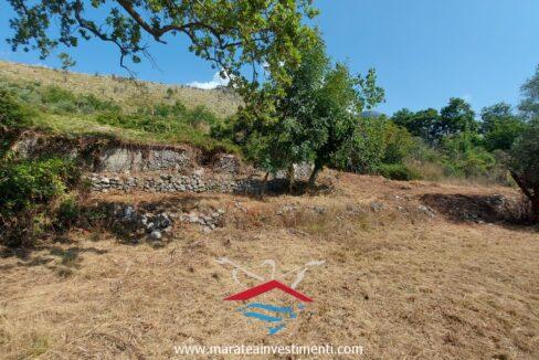 fe2b012f-dcab-416e-81fc-c161e7cabc32_risultatoNuova cartella