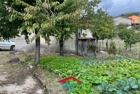 20_risultatointernet