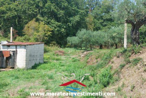 20240830_124335_risultato